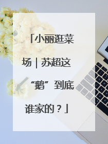 小丽逛菜场｜苏超这“鹅”到底谁家的？