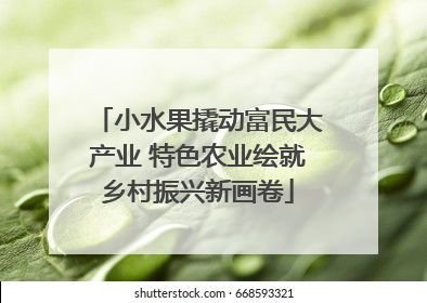 小水果撬动富民大产业 特色农业绘就乡村振兴新画卷