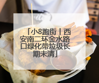 小8跑街丨西安南二环金水路口绿化带垃圾长期未清