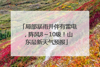 局部暴雨并伴有雷电，阵风8～10级！山东最新天气预报