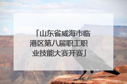 山东省威海市临港区第八届职工职业技能大赛开赛