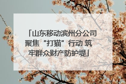 山东移动滨州分公司聚焦“打猫”行动 筑牢群众财产防护堤