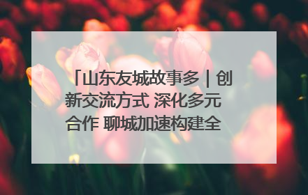 山东友城故事多｜创新交流方式 深化多元合作 聊城加速构建全球友城新格局