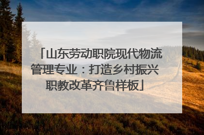 山东劳动职院现代物流管理专业：打造乡村振兴职教改革齐鲁样板
