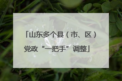 山东多个县（市、区）党政“一把手”调整