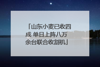 山东小麦已收四成 单日上阵八万余台联合收割机