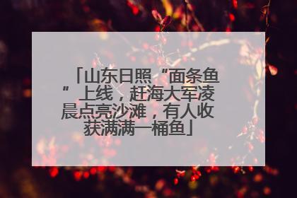 山东日照“面条鱼”上线，赶海大军凌晨点亮沙滩，有人收获满满一桶鱼