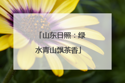 山东日照：绿水青山飘茶香