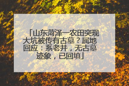 山东菏泽一农田突现大坑被传有古墓？属地回应：系老井，无古墓迹象，已回填