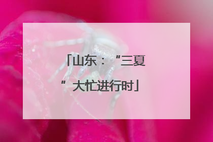 山东：“三夏”大忙进行时