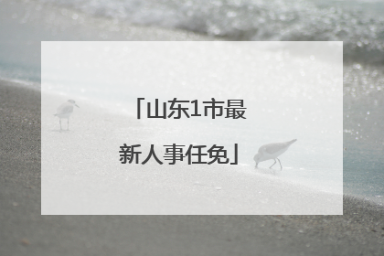 山东1市最新人事任免