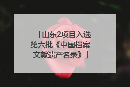 山东2项目入选第六批《中国档案文献遗产名录》