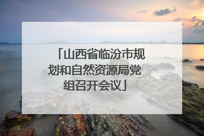 山西省临汾市规划和自然资源局党组召开会议