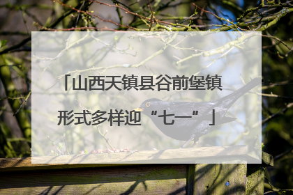 山西天镇县谷前堡镇 形式多样迎“七一”
