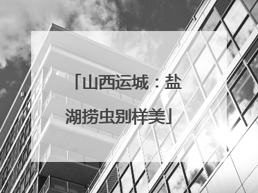 山西运城：盐湖捞虫别样美