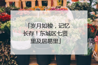 岁月如梭，记忆长存！东城区七贤里及居易里