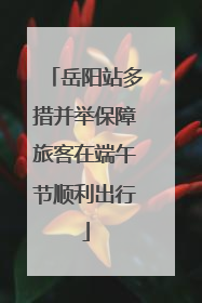 岳阳站多措并举保障旅客在端午节顺利出行
