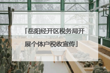 岳阳经开区税务局开展个体户税收宣传