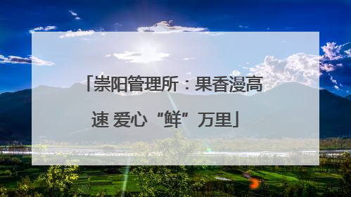 崇阳管理所：果香漫高速 爱心“鲜”万里