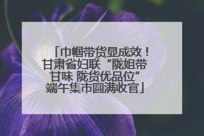 巾帼带货显成效！甘肃省妇联“陇姐带甘味 陇货优品位”端午集市圆满收官