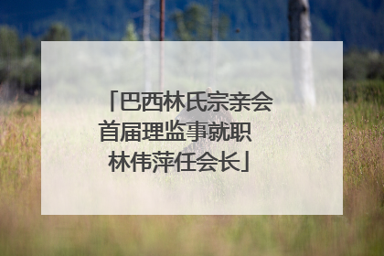 巴西林氏宗亲会首届理监事就职 林伟萍任会长