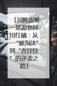 川陈皮唯一基源物种川红橘：从“被淘汰”到“香饽饽”的逆袭之路