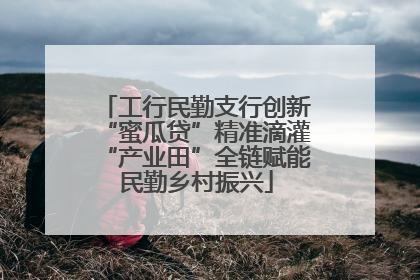工行民勤支行创新“蜜瓜贷”精准滴灌“产业田”全链赋能民勤乡村振兴