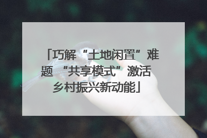 巧解“土地闲置”难题 “共享模式”激活乡村振兴新动能