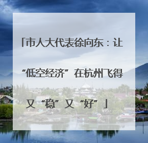 市人大代表徐向东：让“低空经济”在杭州飞得又“稳”又“好”
