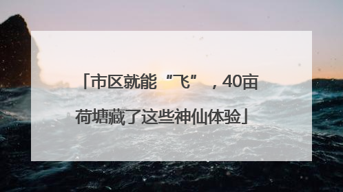 市区就能“飞”，40亩荷塘藏了这些神仙体验