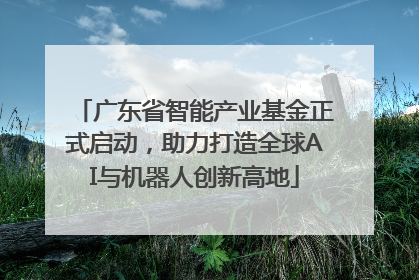 广东省智能产业基金正式启动，助力打造全球AI与机器人创新高地