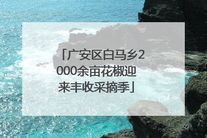 广安区白马乡2000余亩花椒迎来丰收采摘季