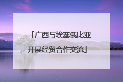 广西与埃塞俄比亚开展经贸合作交流