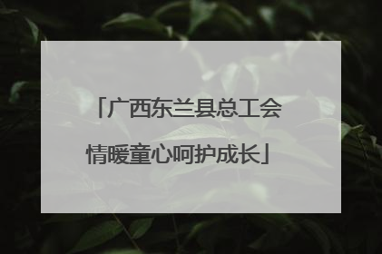 广西东兰县总工会情暖童心呵护成长