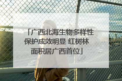 广西北海生物多样性保护成效明显 红树林面积居广西首位