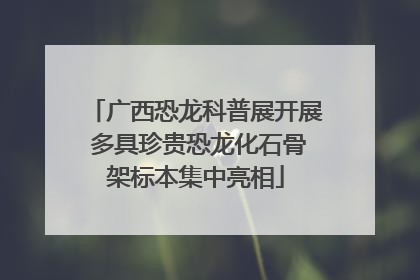 广西恐龙科普展开展 多具珍贵恐龙化石骨架标本集中亮相
