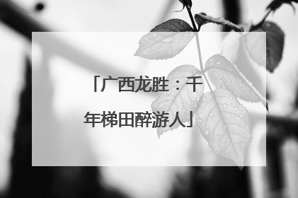 广西龙胜：千年梯田醉游人