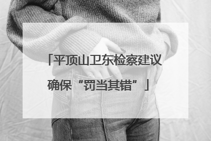 平顶山卫东检察建议确保“罚当其错”
