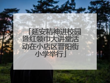 延安精神进校园暨红领巾大讲堂活动在小店区晋阳街小学举行