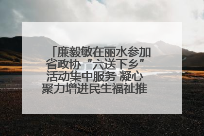 廉毅敏在丽水参加省政协“六送下乡”活动集中服务 凝心聚力增进民生福祉推进共同富裕