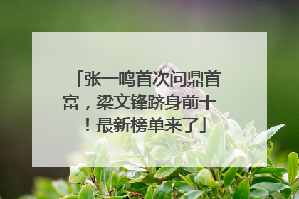 张一鸣首次问鼎首富，梁文锋跻身前十！最新榜单来了