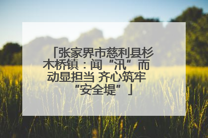 张家界市慈利县杉木桥镇：闻“汛”而动显担当 齐心筑牢“安全堤”