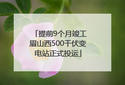 提前9个月竣工 眉山西500千伏变电站正式投运