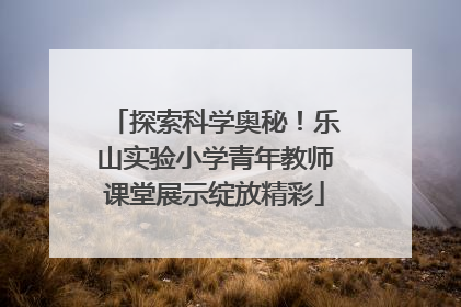 探索科学奥秘！乐山实验小学青年教师课堂展示绽放精彩
