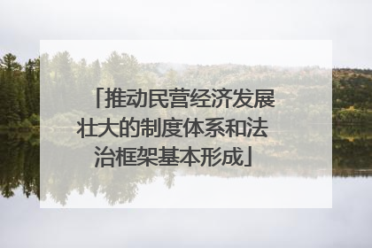 推动民营经济发展壮大的制度体系和法治框架基本形成