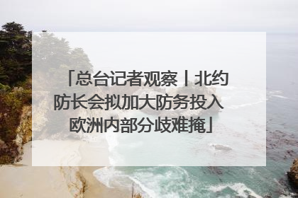总台记者观察丨北约防长会拟加大防务投入 欧洲内部分歧难掩