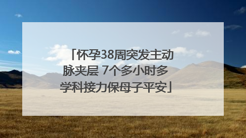 怀孕38周突发主动脉夹层 7个多小时多学科接力保母子平安