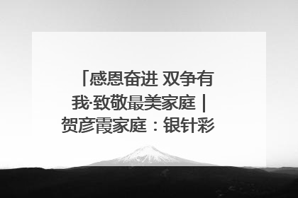 感恩奋进 双争有我·致敬最美家庭｜贺彦霞家庭：银针彩线绣出好日子