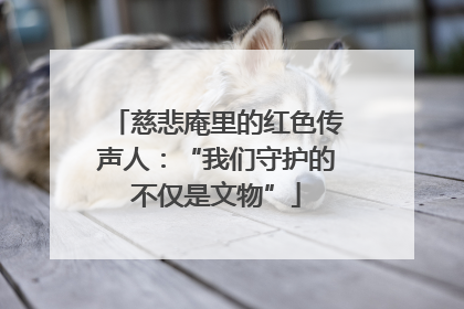 慈悲庵里的红色传声人：“我们守护的不仅是文物”