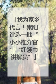 我为家乡代言！崇阳评选一批“小小推介官”“红领巾讲解员”
